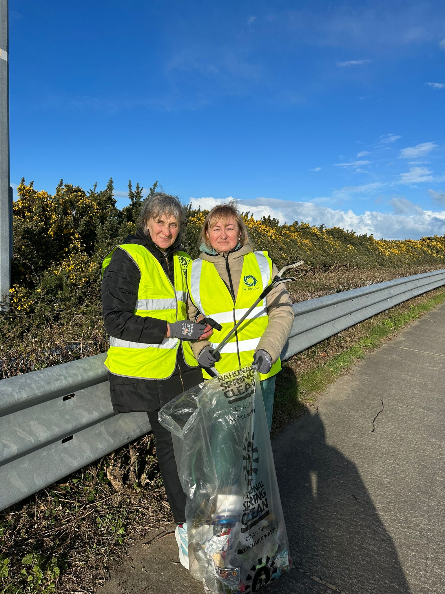 Clean Up Murrough Car Park Area Wicklow Town