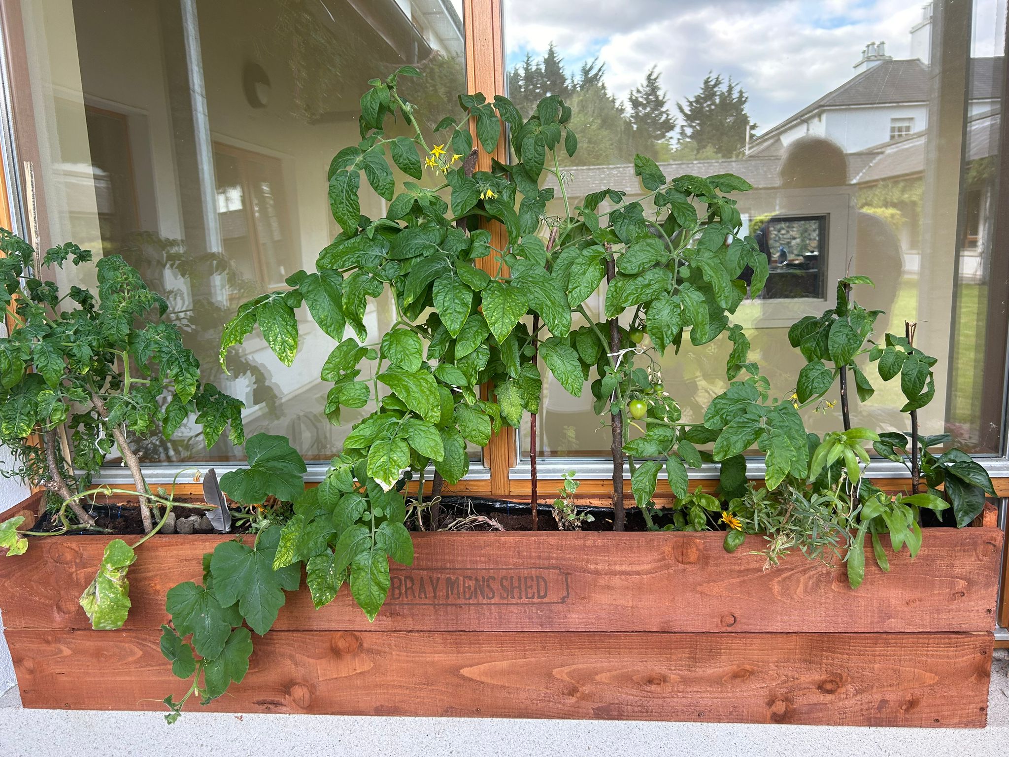 Carmelite Convent Garden Project-2 Part (creation)