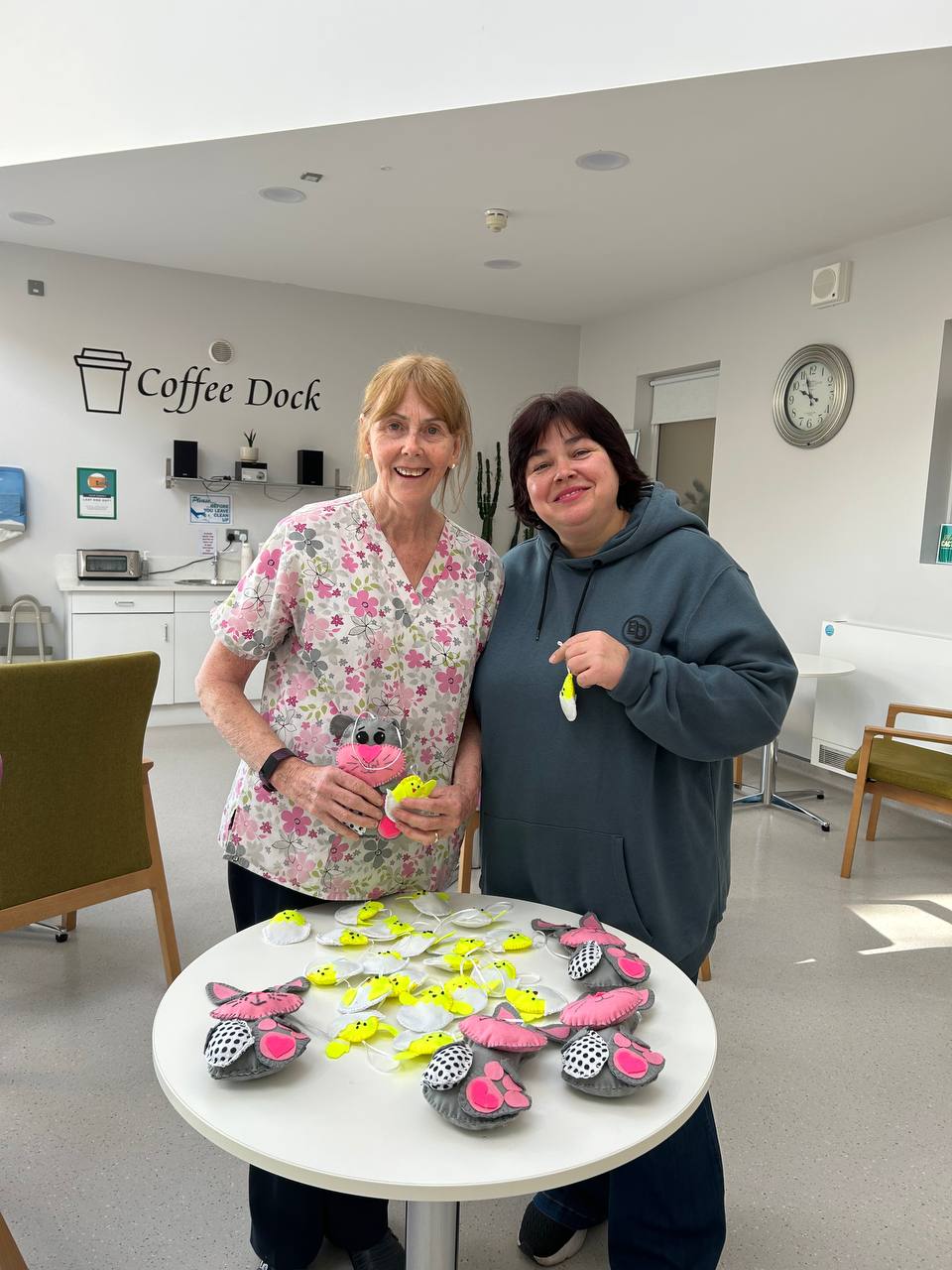 Wicklow Volunteer Centre Project Create and Donate