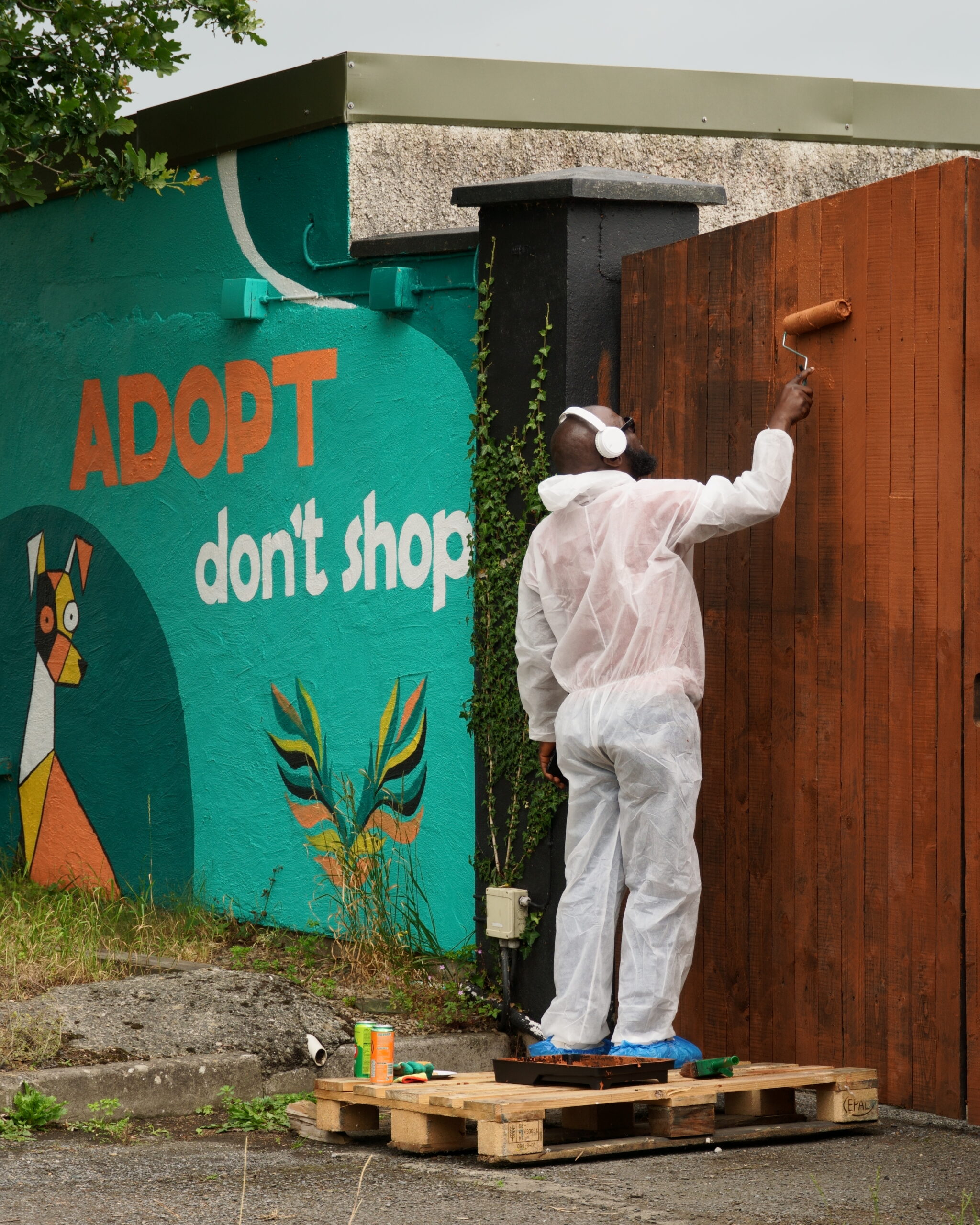ISPCA Wicklow painting project